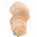 MUSHROOM SPONGE  Natural 16"